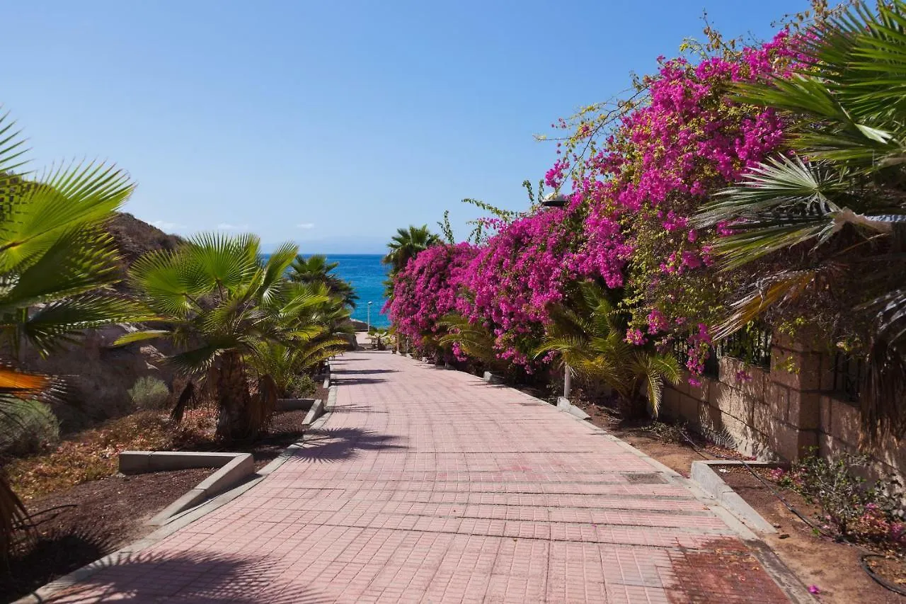 Parque Santiago II Playa Las Americas Apartment Playa de las Americas